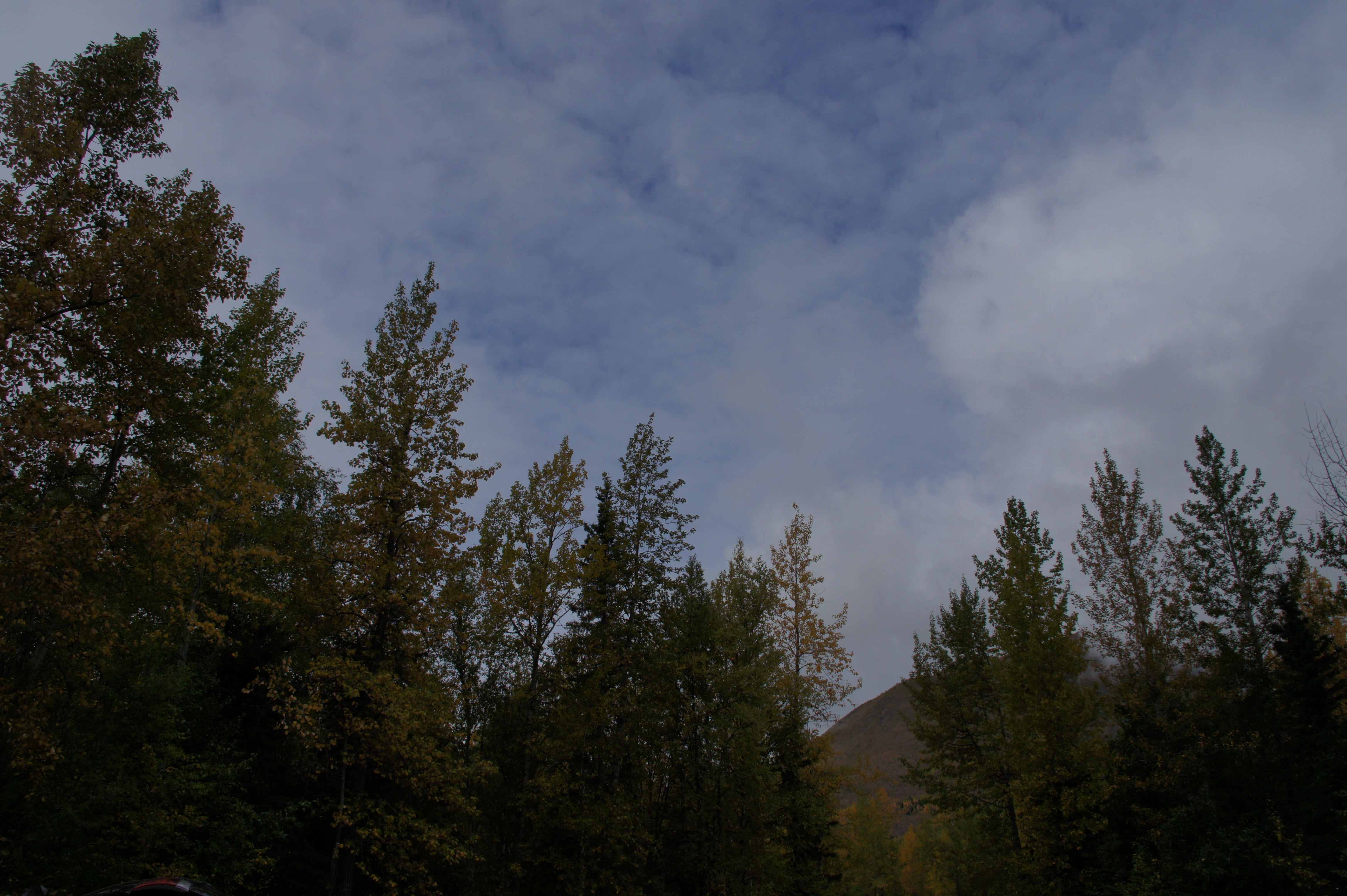 Click to return to the thumbnail index